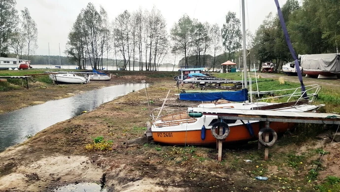 Uciekają z Zalewu Sulejowskiego