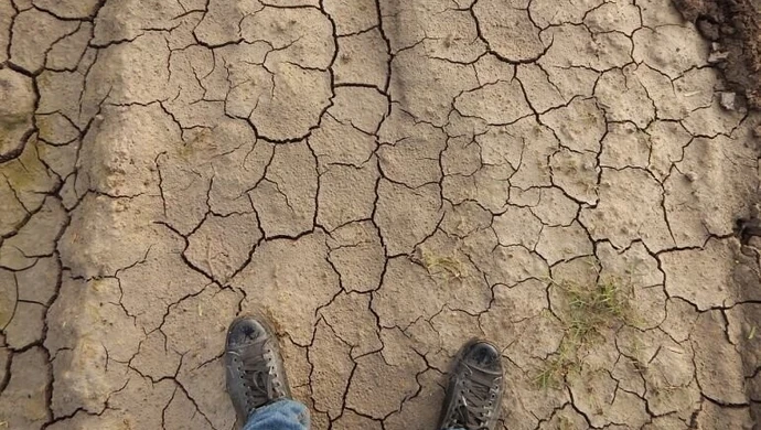 Na kontach rolników już ponad 150 mln zł