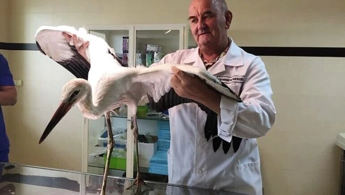 Zbigniew Skrzek Honorowym Obywatelem Miasta?