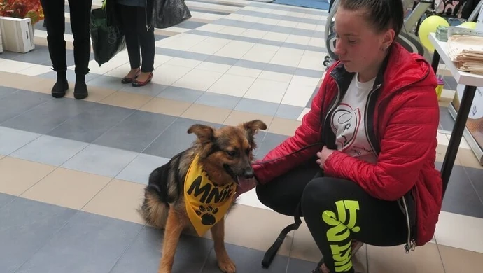 Do Focusa wejdziesz z pieskiem. Galeria zmieniła regulamin