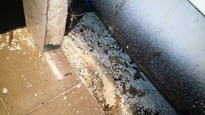 Szczury "zjadają" mieszkanie piotrkowianina. Kto za to odpowie?