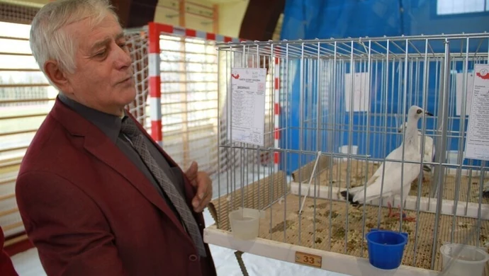 Zapraszamy na kolejną wystawę gołębi rasowych i drobnego inwentarza