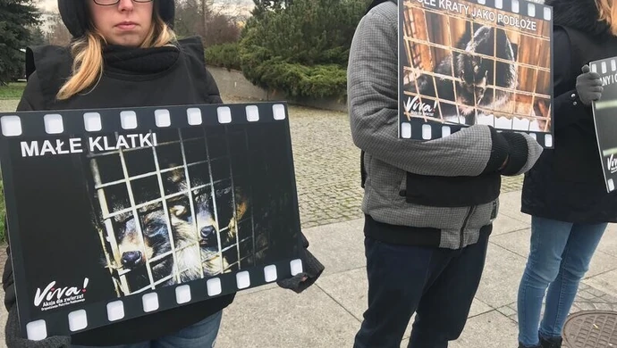 Viva! przeciwko zabijaniu zwierząt na futra