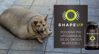 Spalacz tłuszczu, który zaspokoi twoje potrzeby