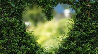 Jak cieszyć się życiem i nie martwić porażkami?