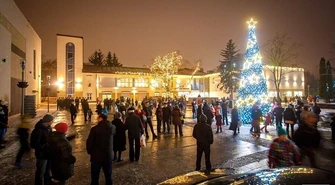 Pijani zdobyli szczyt 8-metrowej choinki