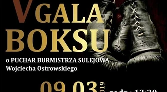 V Gala Boksu w Sulejowie. Powalczą o puchar burmistrza 