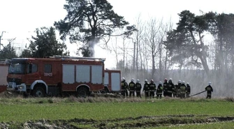 Pożar lasu i traw w Jadwinowie