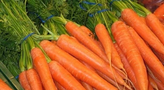 Mała, pomarańczowa, bardzo zdrowa... 4 kwietnia obchodzimy Dzień Marchewki