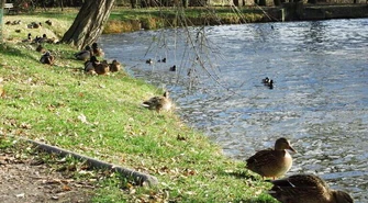 Park Belzacki czeka na modernizację. Co z dofinansowaniem?  