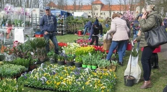 Pamiętaliście o ogrodach? 