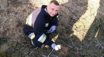 Strażacy pomogli&#8230; bocianiej rodzinie 