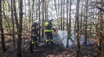 W lasach susza. Płonie kilkadziesiąt hektarów w pow. opoczyńskim [foto, video]