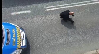 Dzięki kamerom uratowali jeża [VIDEO]