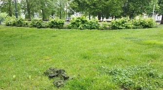 Cuchnący problem zniknie z placu Zamkowego? [Wideo]