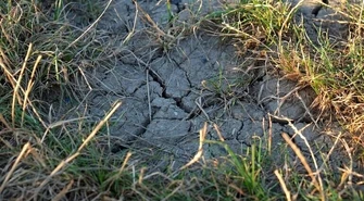 Susza w gminie Wolbórz