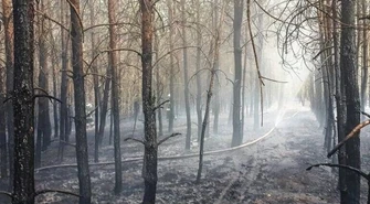 Przez upały sytuacja w lasach naszego regionu bardzo trudna