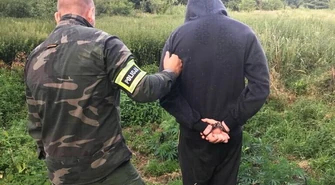 Dwie plantacje marihuany zlikwidowane