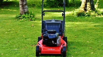 Łąki zamiast trawników