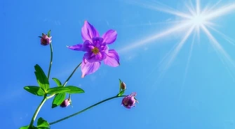 Powróciły upały. Na dłużej?