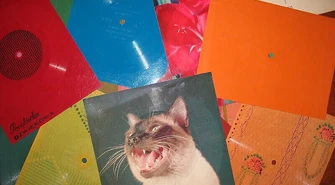 &#8222;Pocztówkowy szał, każdy z nas ich pięćset miał"&#8230;