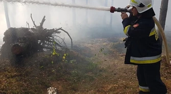 Pożar lasu w Swolszewicach Dużych
