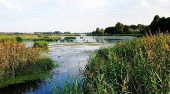 Zagospodarowanie jeziora Bugaj. Jest koncepcja, teraz walka o dofinansowanie