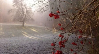 Nadchodzą pierwsze przymrozki