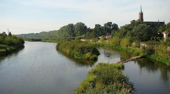 &#8222;Niech wreszcie przyjdą i zaczną kopać!"