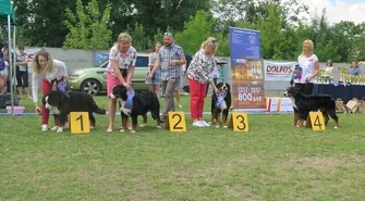Przed nami kolejna Krajowa Wystawa Psów Myśliwskich