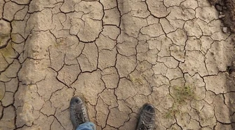 Na kontach rolników już ponad 150 mln zł