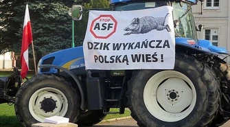 Zlikwidować pogłowie dzika do zera?