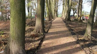 Park w Woli Krzysztoporskiej zmienia się