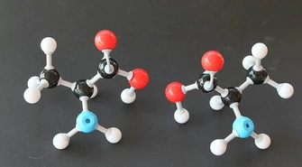 Aminokwasy dla sportowców - jakie wybrać?