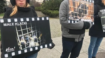 Viva! przeciwko zabijaniu zwierząt na futra