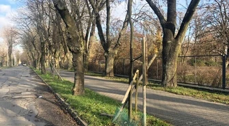 Niszczycielski spacer ulicą Żwirki