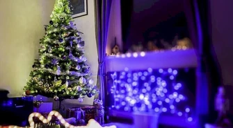 Na święta z utęsknieniem czekają też sportowcy