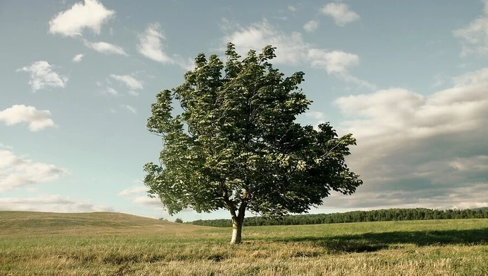 Uwaga na silny wiatr!