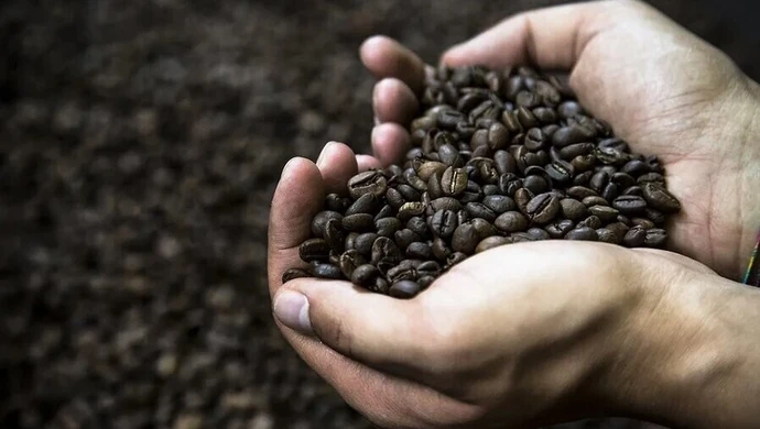 Kawa pozwala walczyć z nadwagą