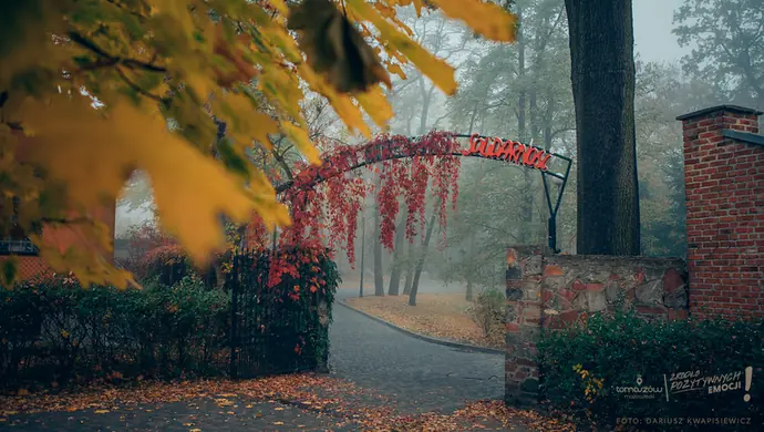 Tomaszów Mazowiecki ma szansę na 10 mln euro funduszy norweskich, Piotrków Trybunalski odpadł z tego "wyścigu"
