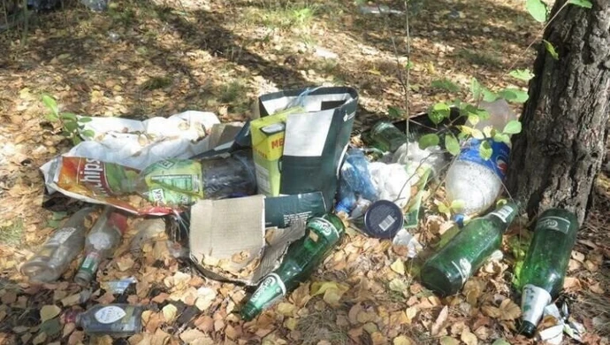 Morsy posprzątają teren wokół Zalewu w Cieszanowicach