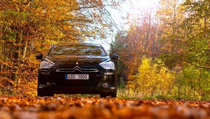 Wjeżdżasz do lasu? Możesz stanąć przed sądem