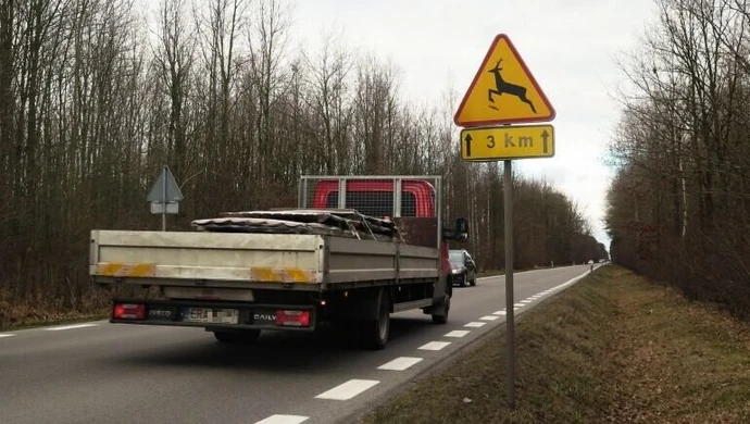 Uwaga, zwierzę na drodze!