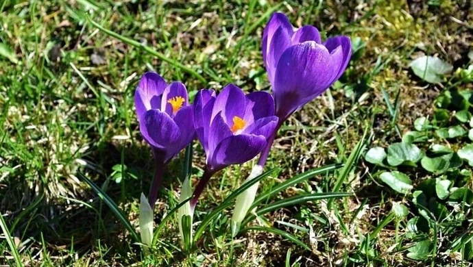 Astronomiczna już jest, kalendarzowa w sobotę