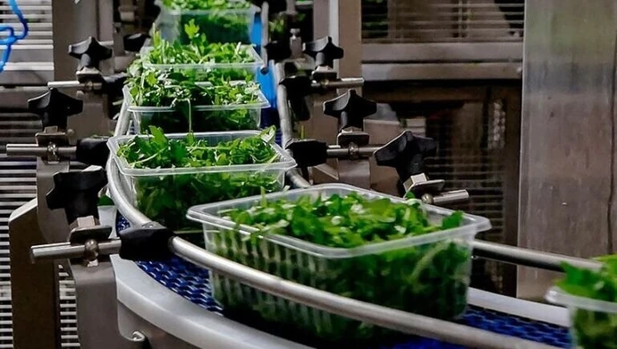 24 pracowników piotrkowskiej Nowalijki na kwarantannie. Firma wydała oświadczenie