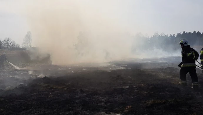 Pożary traw w gminie Gorzkowice. Codziennie