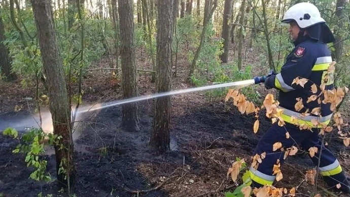 Rośnie zagrożenie pożarowe. Czy konieczny będzie zakaz wstępu do lasów?