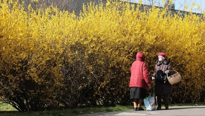 ZUS: emeryci i renciści z "trzynastkami" na kontach