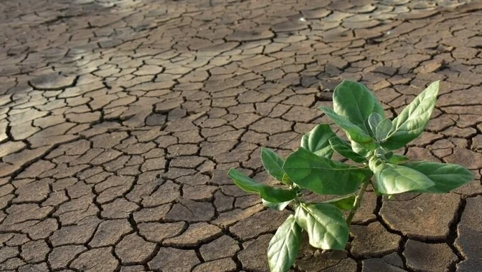 Minister rolnictwa apeluje: nie marnujmy wody, pomóżmy gospodarce i przyrodzie