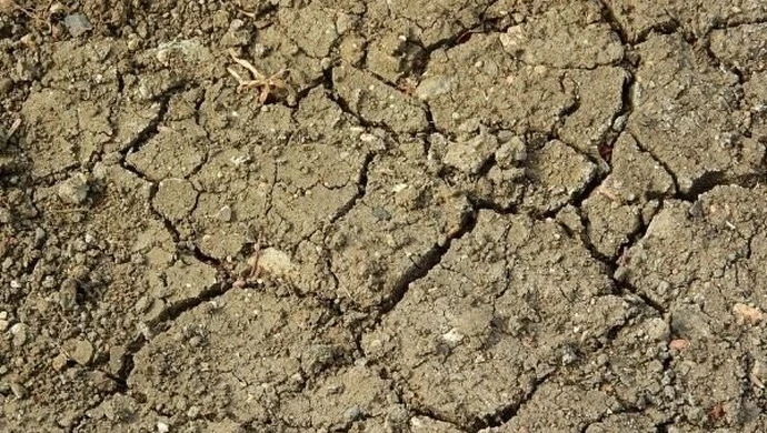 Pomoc suszowa – ARiMR sukcesywnie realizuje wypłaty